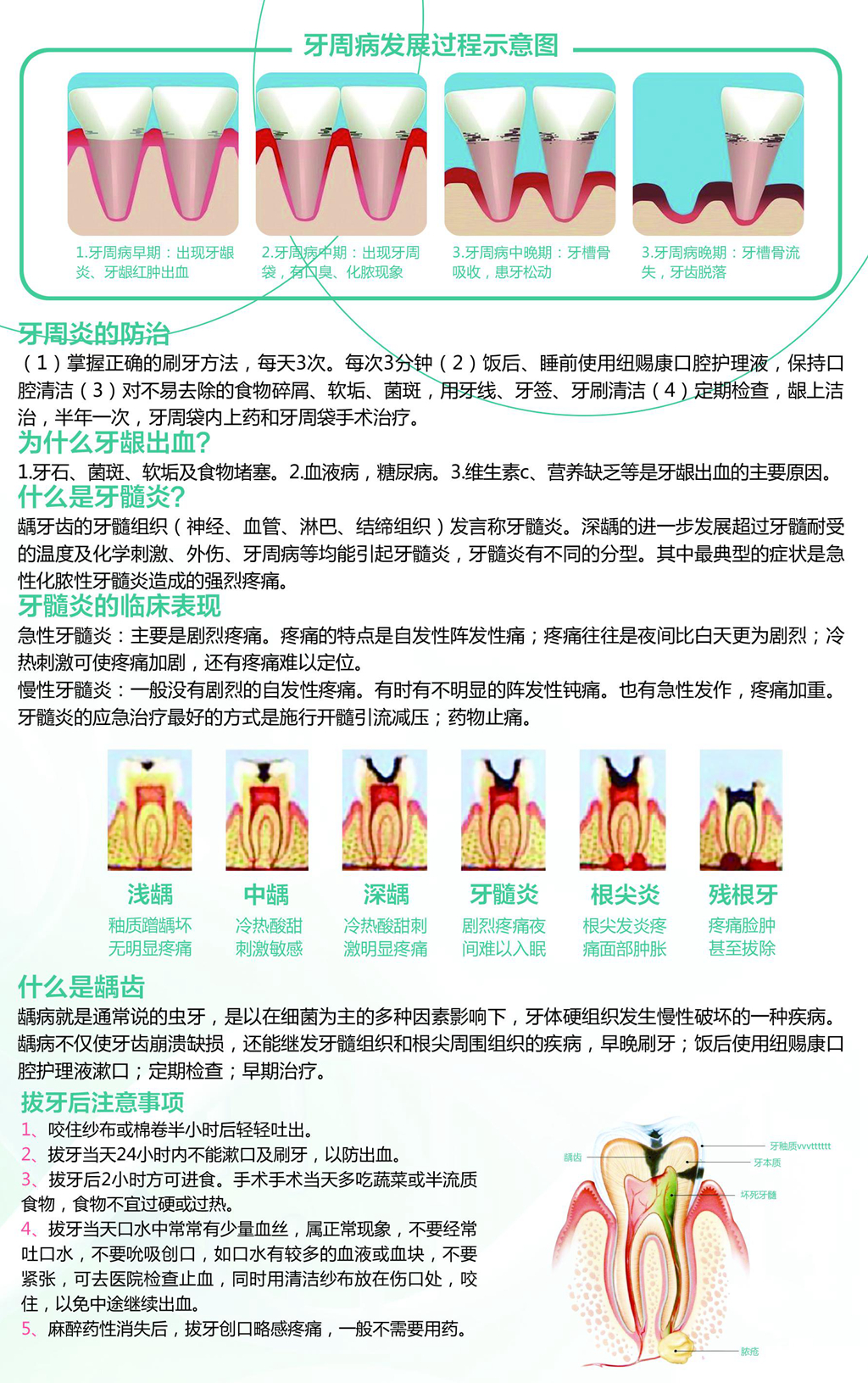 口腔三折页 2_副本_副本.jpg